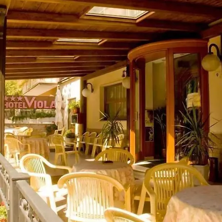 Hotel Viola-2