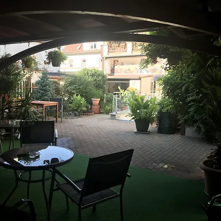 Pension Borna-2