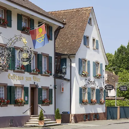 Hotel Adler - Weil Am Rhein-3