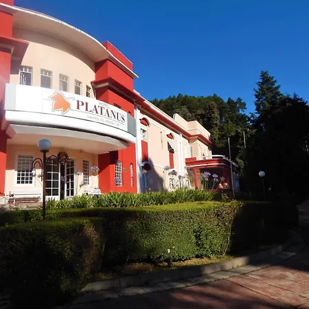 Hotel Platanus-2