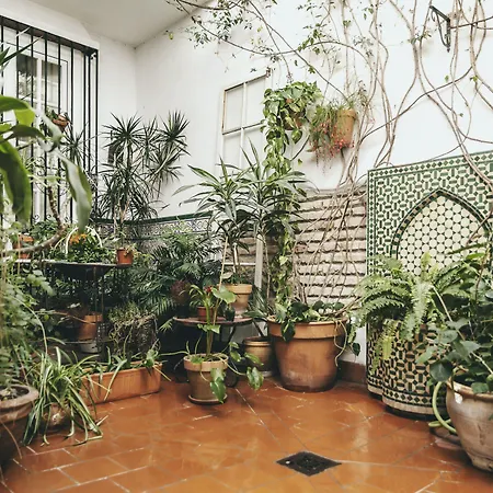 El Riad Andaluz-2