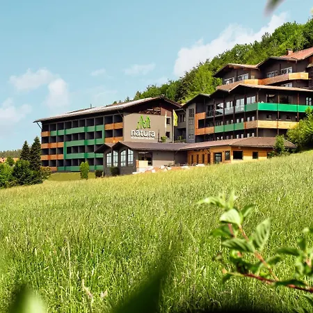 Natura Hotel Bodenmais - inkl Soft- und Heißgetränkeflat-2