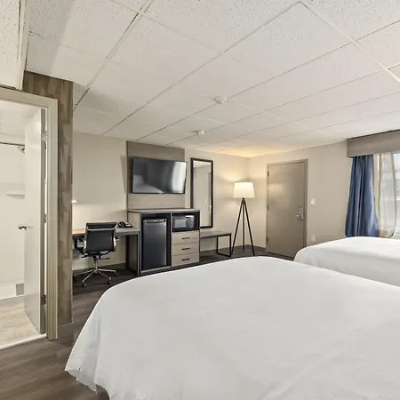 The Elmwood-3