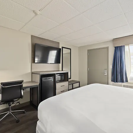 The Elmwood-2