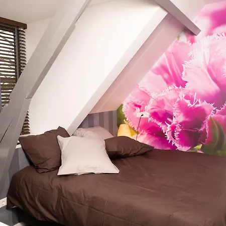 House Of Tulips-3