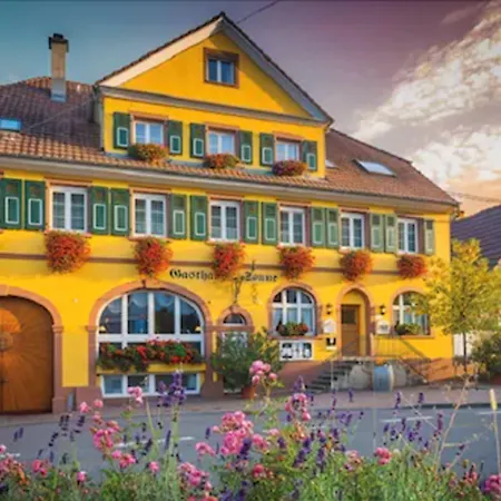 Weinhotel / Gasthaus zur Sonne-3