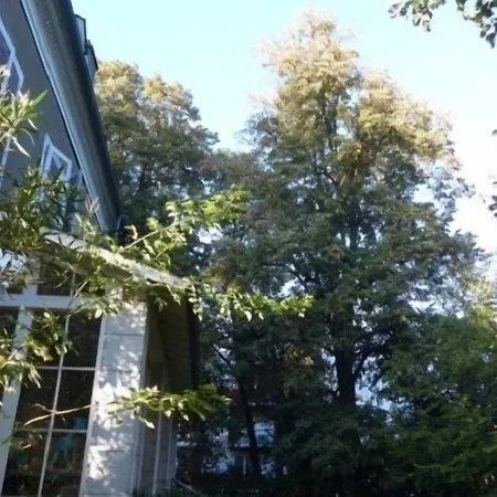 Villa Dampierre-2