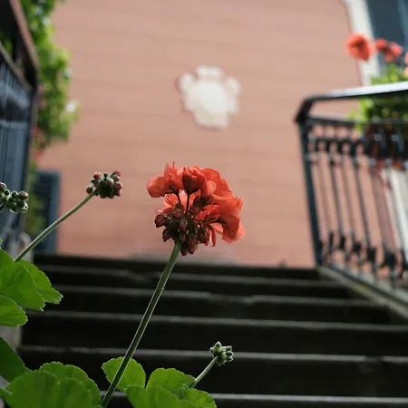 B&B Casa Del Priore-3