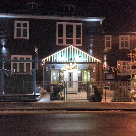 Pension Haus am Waldesrand-3