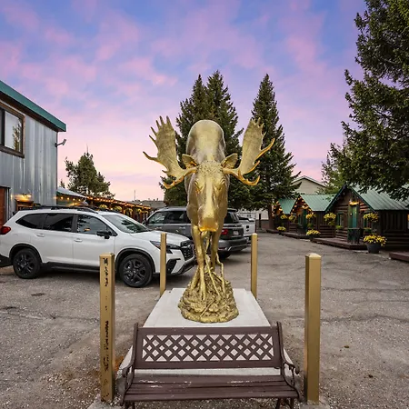 The Bucking Moose-3