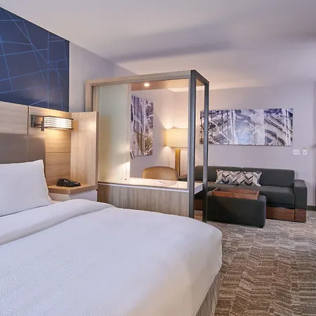 Springhill Suites By Marriott Detroit Dearborn-2