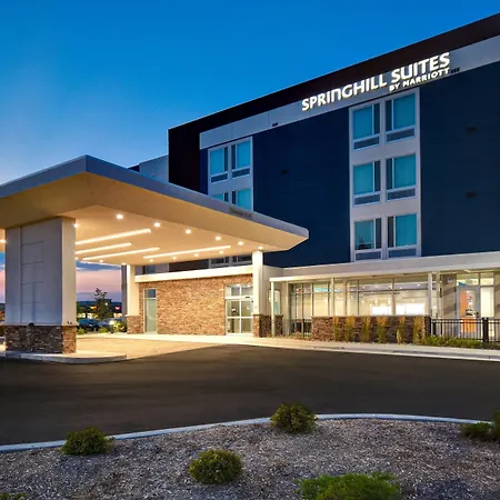 Springhill Suites By Marriott Holland-3