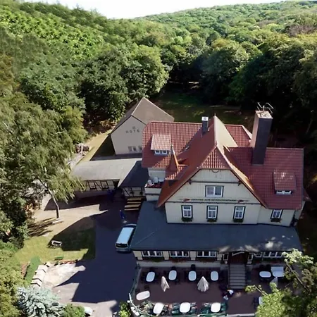 Hotel Garni am Schlosspark-3