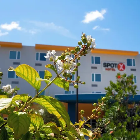Spot X Hotel Orlando Intl Dr By The Red Collection-3