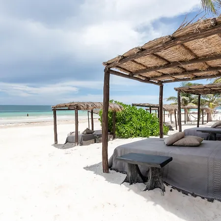 Nest Tulum-2