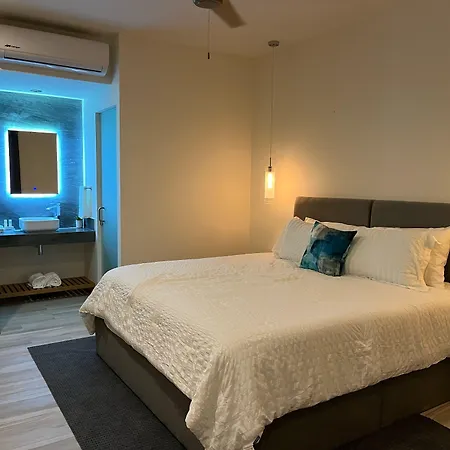 The Cove Boutique Hotel Adults Only-3