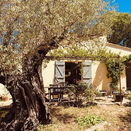 Bastide Sainte Trinide-2