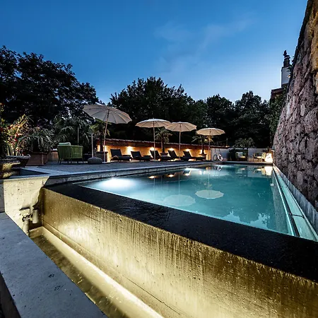 Swiss Historic & Garten Hotel Villa Carona-3