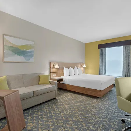 Best Western Wesley Chapel-3