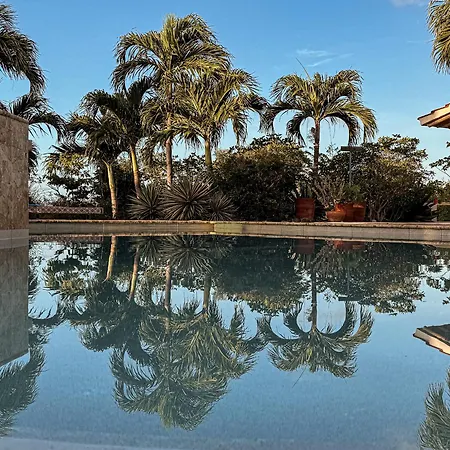 Goood Resort-2