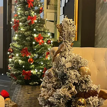 Mamma Mia Hotel Boutique-2