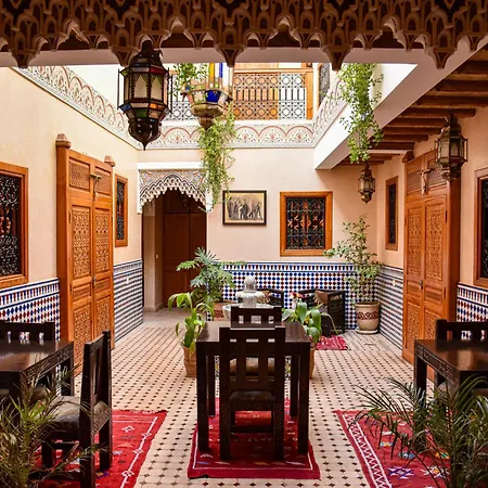 Riad Zanouba-2