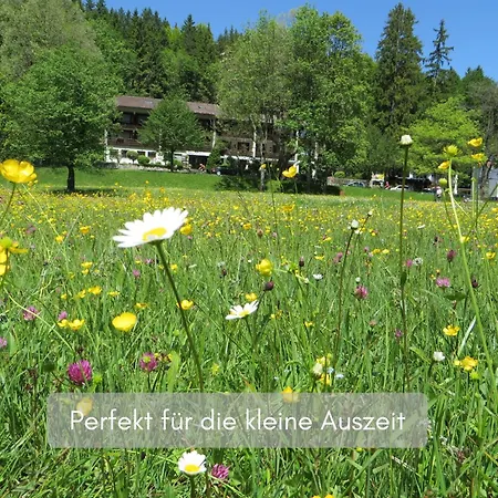 Hotel Ruchti - Zeit für mich-2