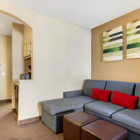 Comfort Suites Bush Intercontinental Airport-2