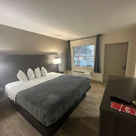 Econo Lodge St Petersburg Central-3