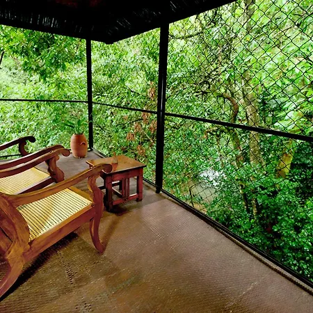 Vythiri Resort-2