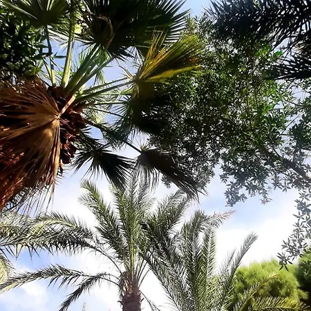 Nour El Gourna-3