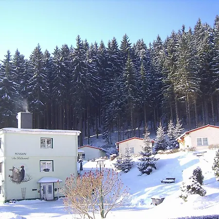 Pension Am Waldesrand-2