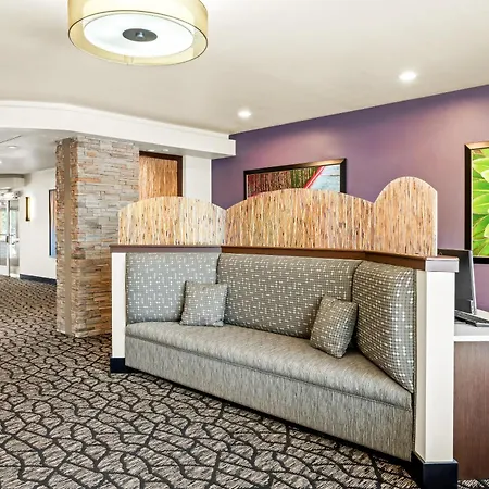 Ledgestone Suites Hotel Billings-3