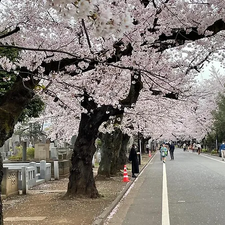 Sakura Hotel Nippori-3