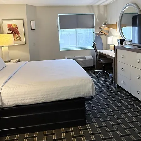 Edn Hotel-2