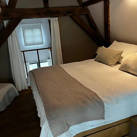 B&B De Waterzooi-3