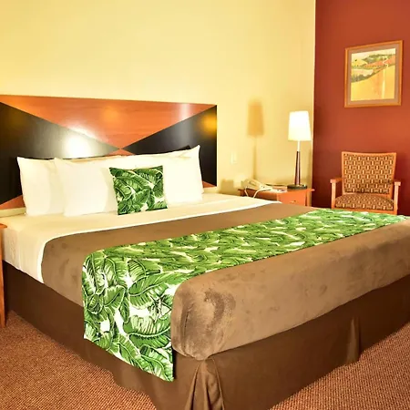 Sleep Inn Paseo Las Damas-2