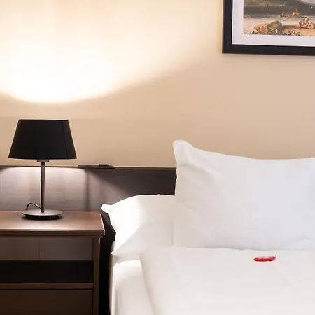 Swiss Inn & Apartments-3