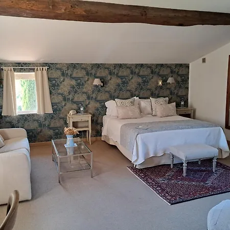 Hotel Le Mas Trilles-3