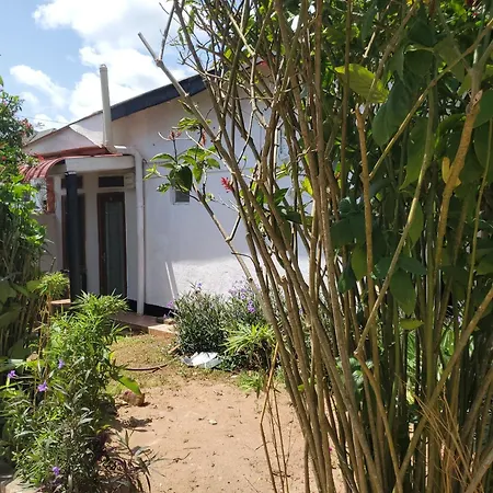 Gorilla African Guest House-3