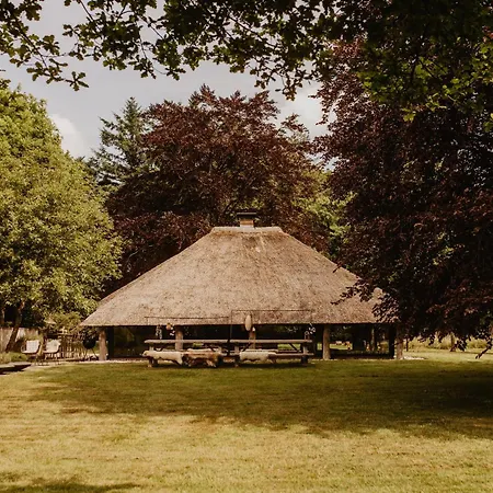 B&B Mollenvlied op de Veluwe-2