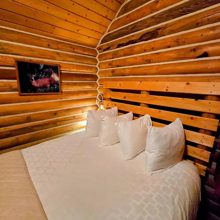 Alpine Lodge-2