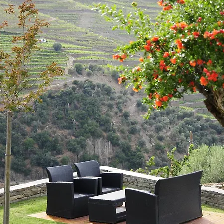 Hotel Rural Quinta Do Pego-3