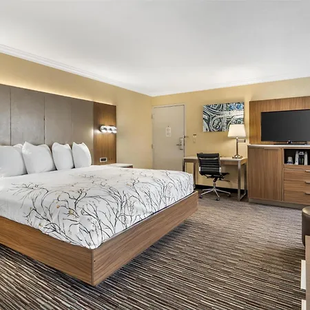 Best Western Airpark Hotel - Lax Airport La Stadium-3