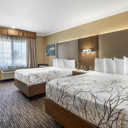 Best Western Airpark Hotel - Lax Airport La Stadium-2