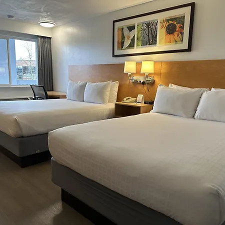 Hotel Nexus; BW Signature Collection-2