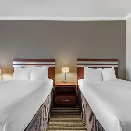 Best Western Plus Austin Airport Inn & Suites-3