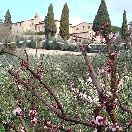 B&B All'Ombra di San Damiano-2