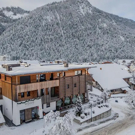 Moelgg Dolomites Residence-3