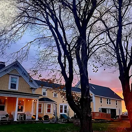 Elmere House Bed & Breakfast-2